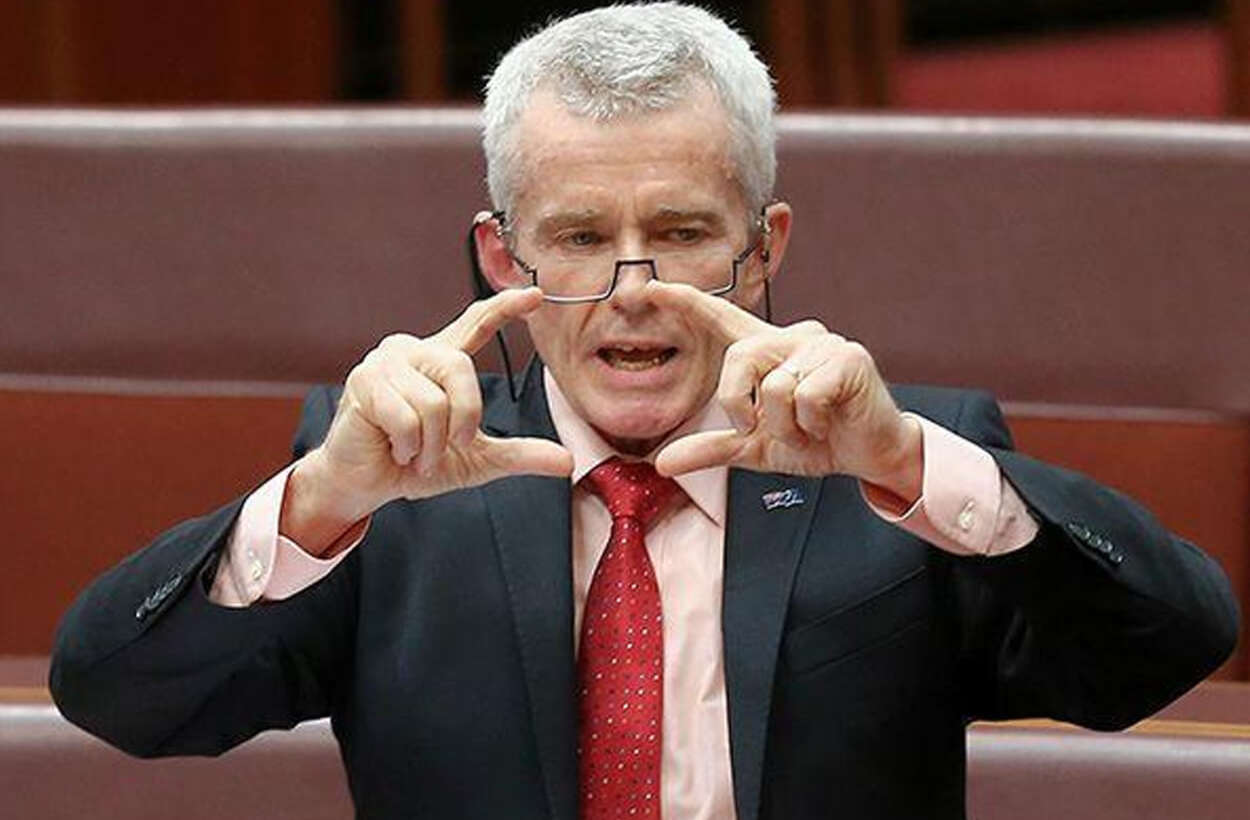 One Nation's Malcolm Roberts wants migration more than halved
