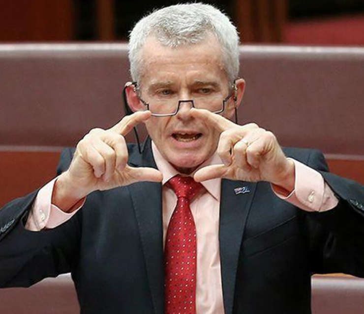 One Nation's Malcolm Roberts wants migration more than halved